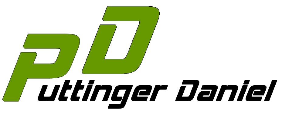 DP-Perform – Daniel Puttinger